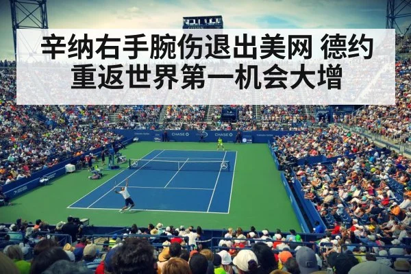 辛纳右手腕伤退出美网 德约重返世界第一机会大增